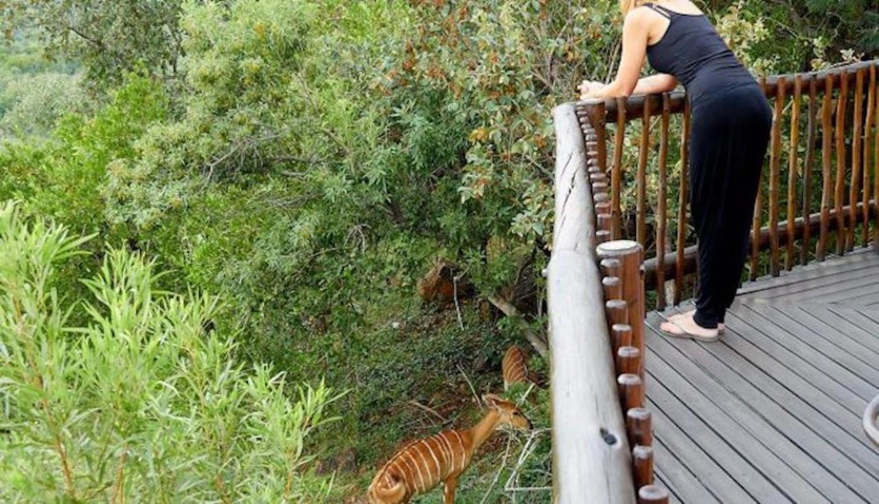 Phumelo Lodge 贝拉贝拉 外观 照片